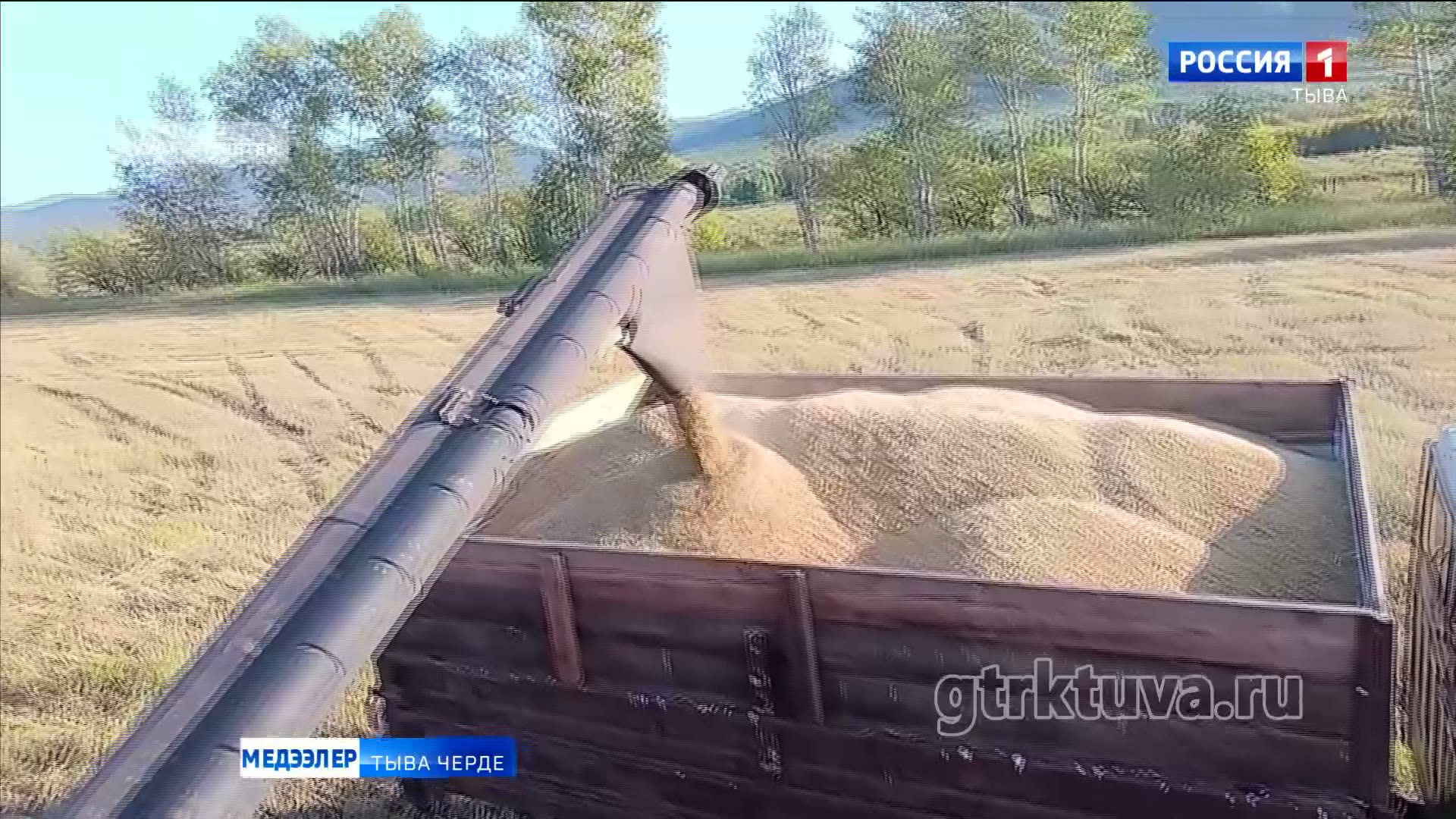 Күскү дүжүт ажаалдазы