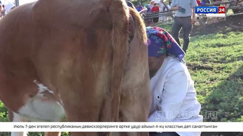 Тываның тергиин саанчызы