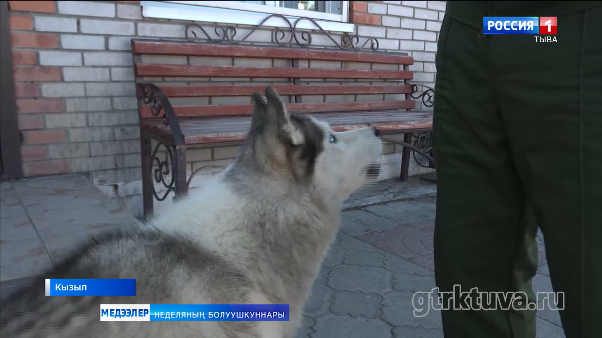 Бо неделянын кол болуушкуннарының допчулалы.