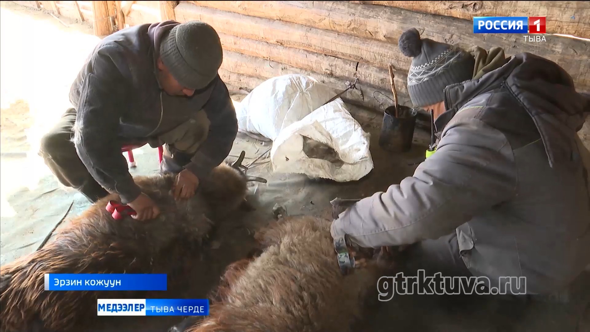 Чөөк дүктүг өшкүлерлиг Качык