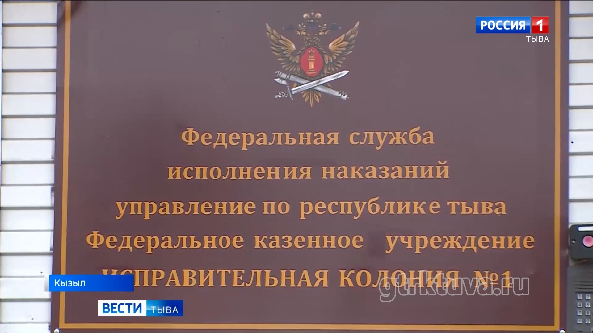 Новая жизнь