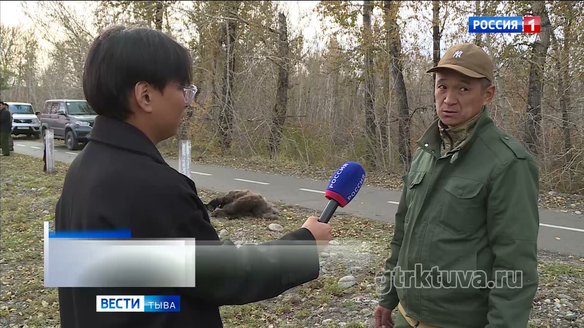 Медведь в парке