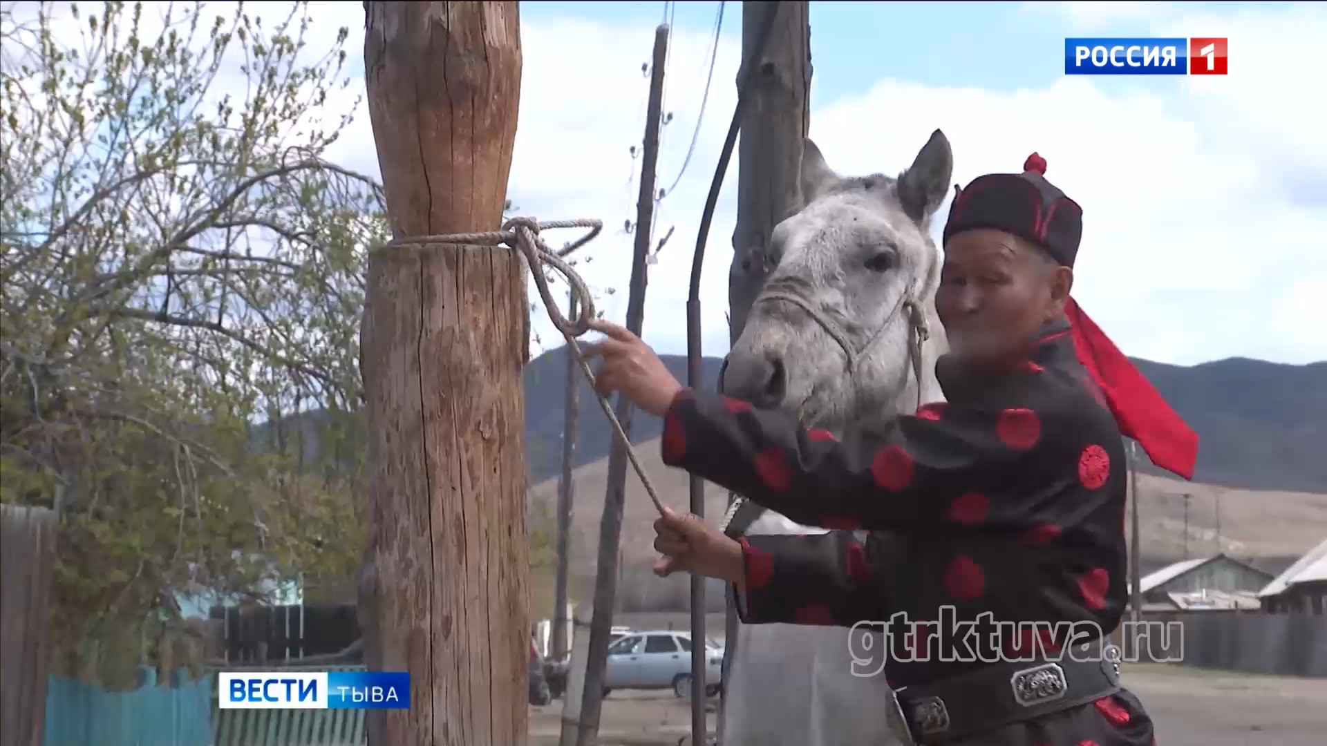Люди и лошади