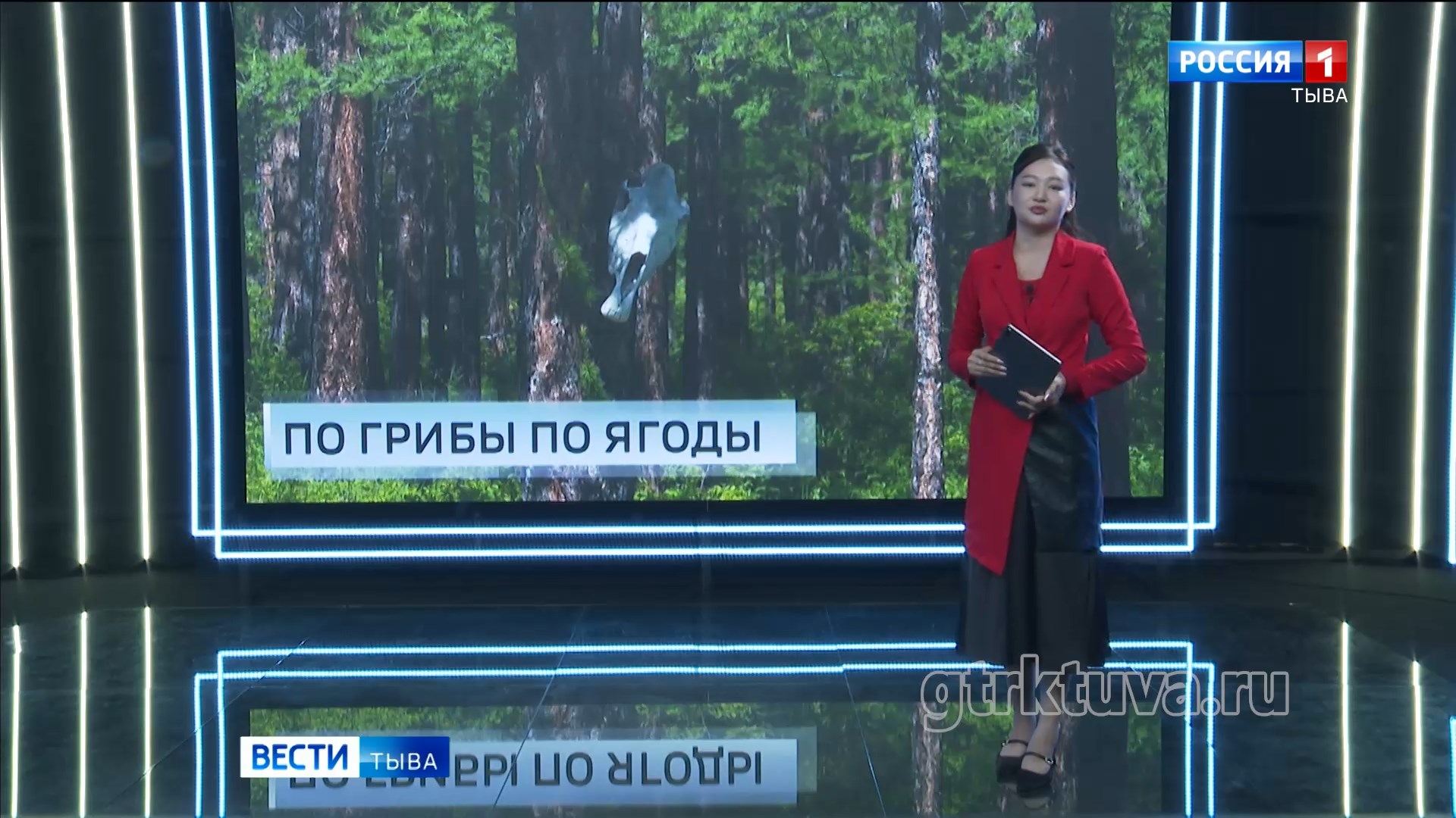 По грибы, по ягоды