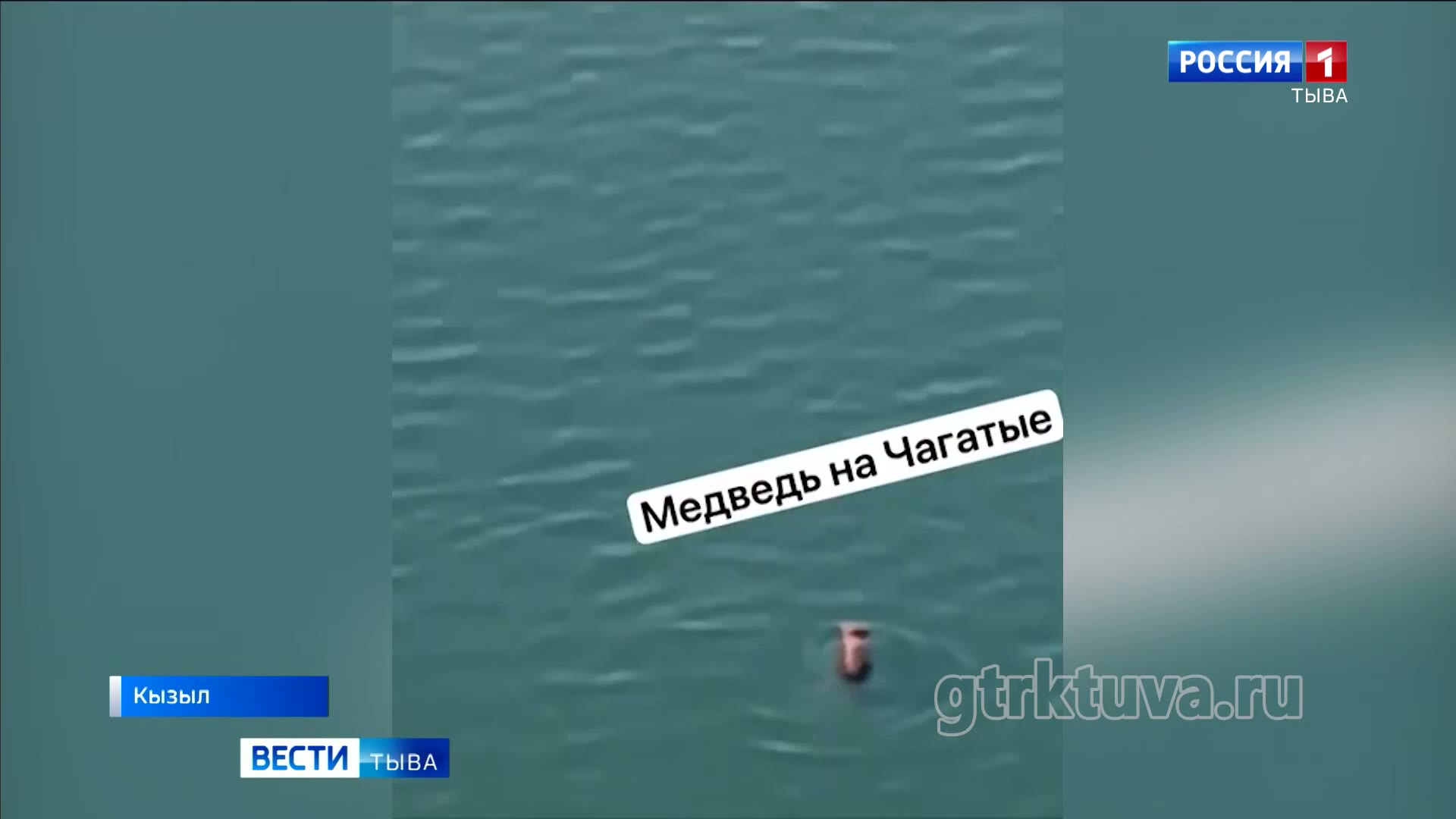 Медведь рядом