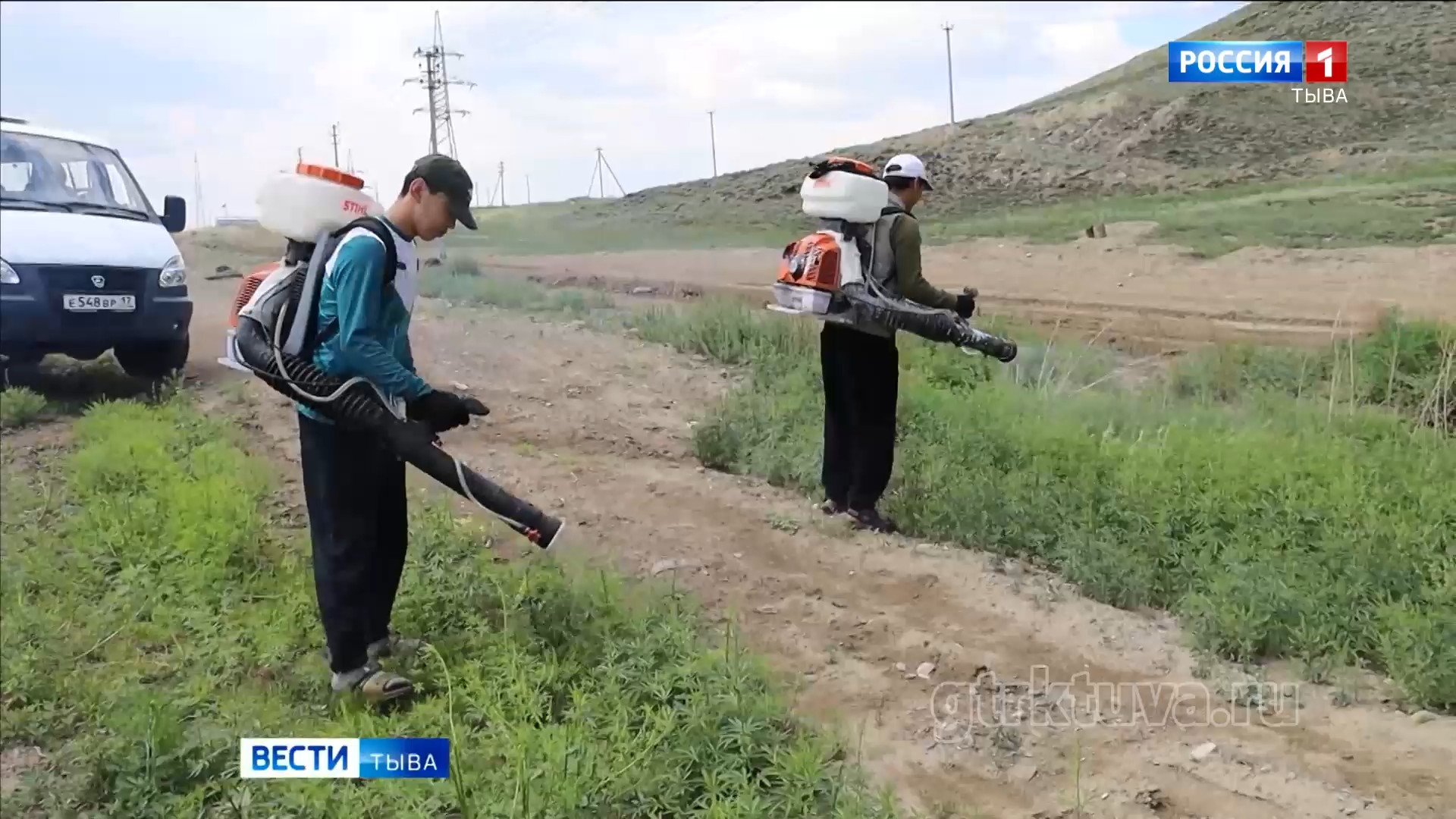 Уничтожают дурь