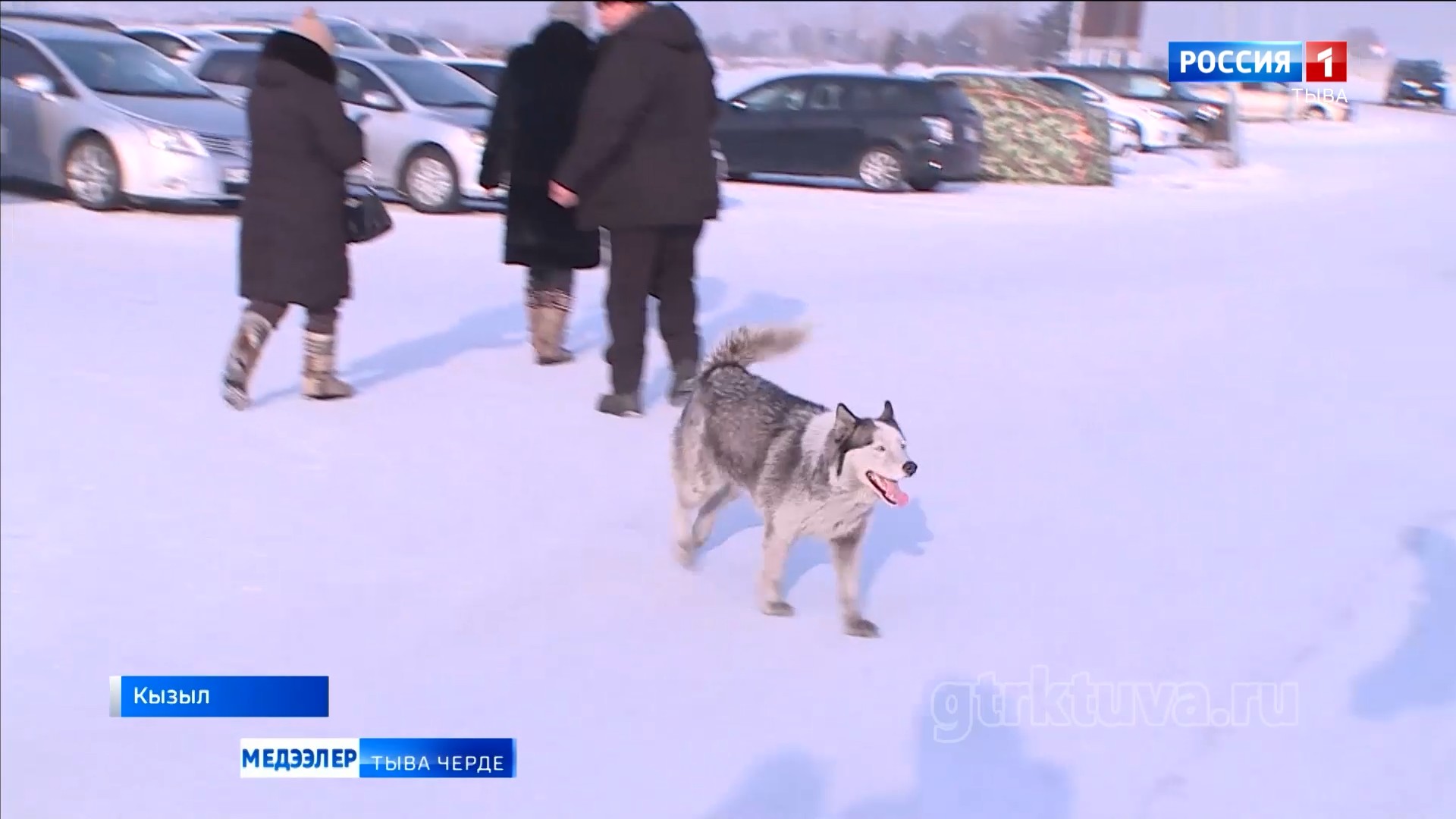 Тыва Хатико