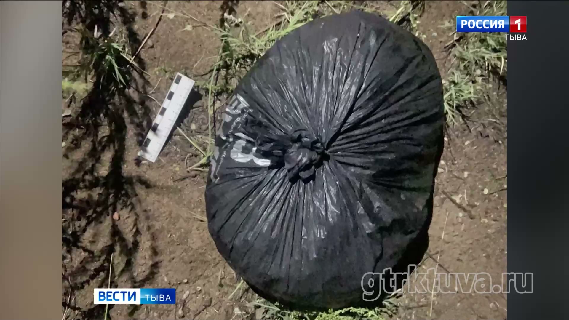 Дежурная часть