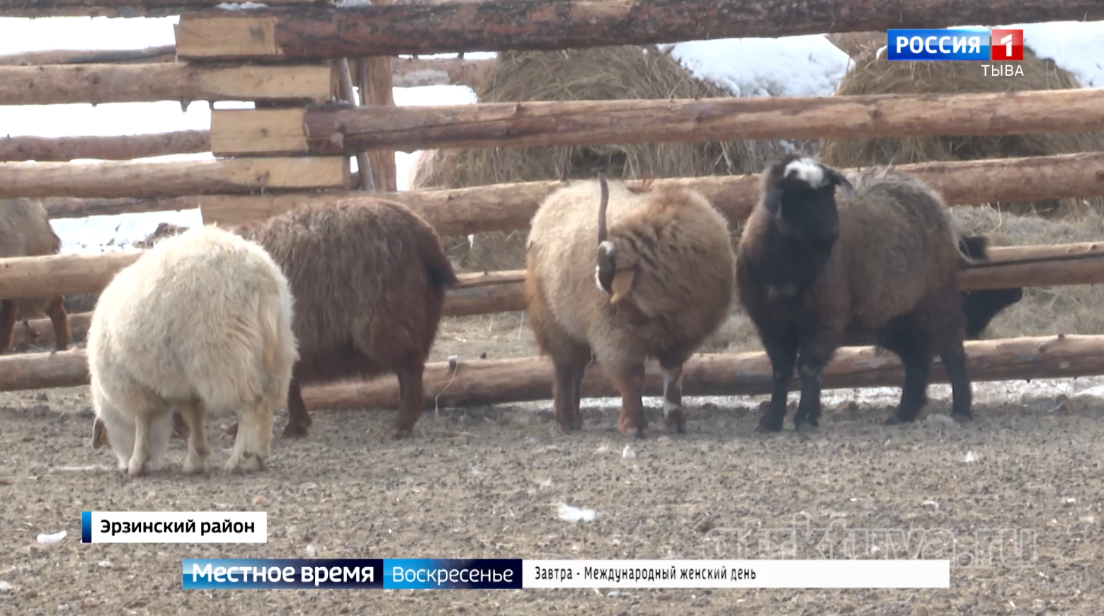 Горячая пора