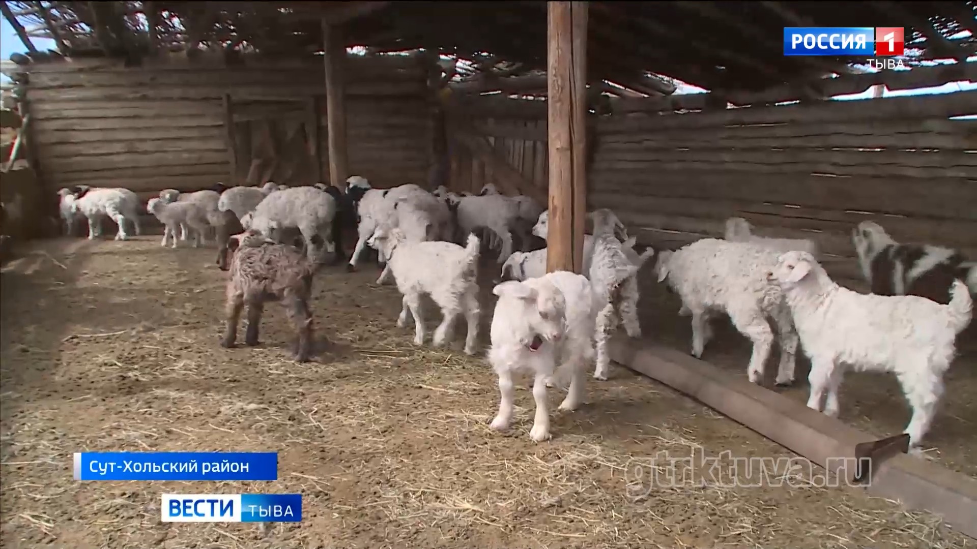 Важная пора