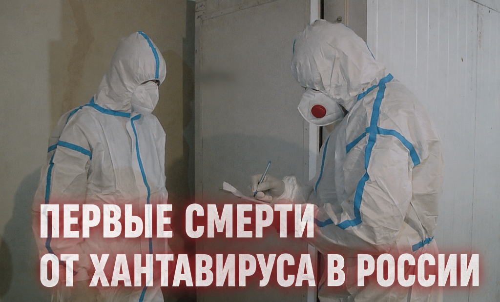 Первые смерти от хантавируса в России