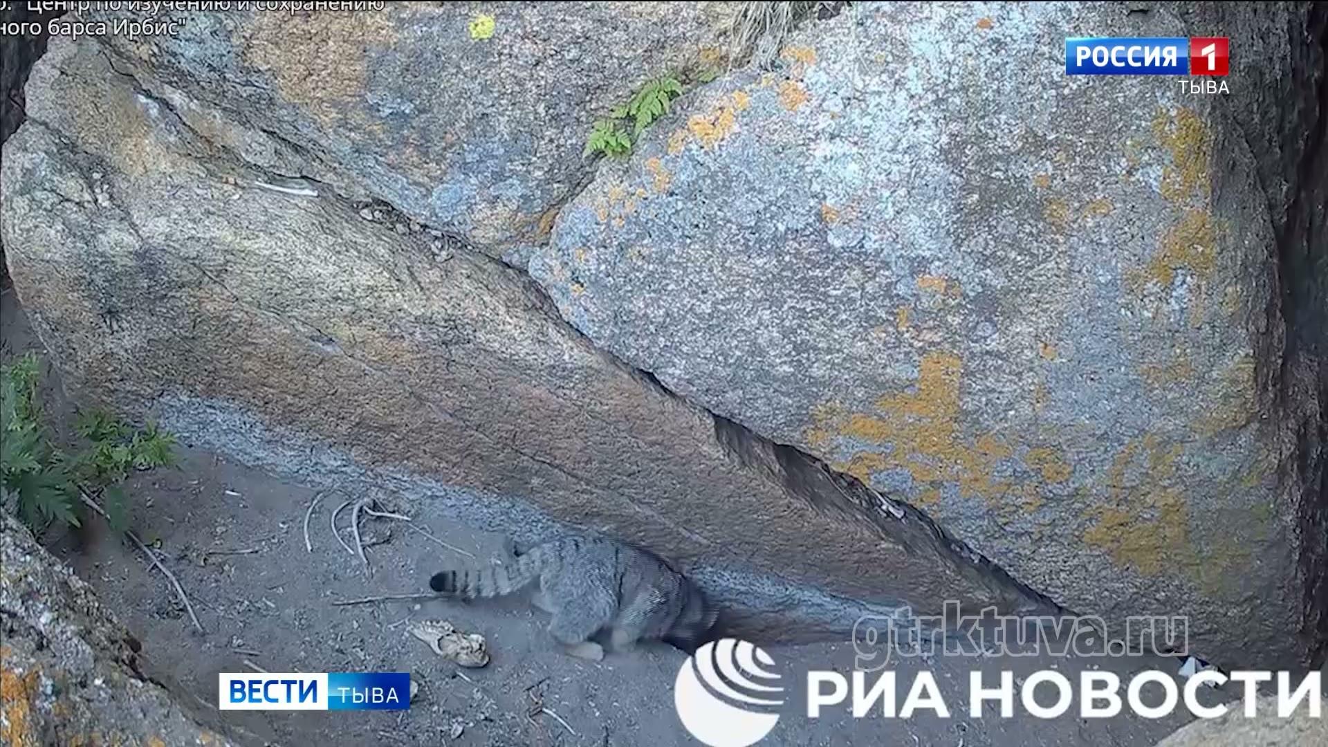 Редкие кадры