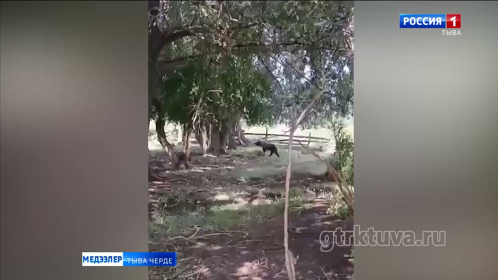 Адыглар