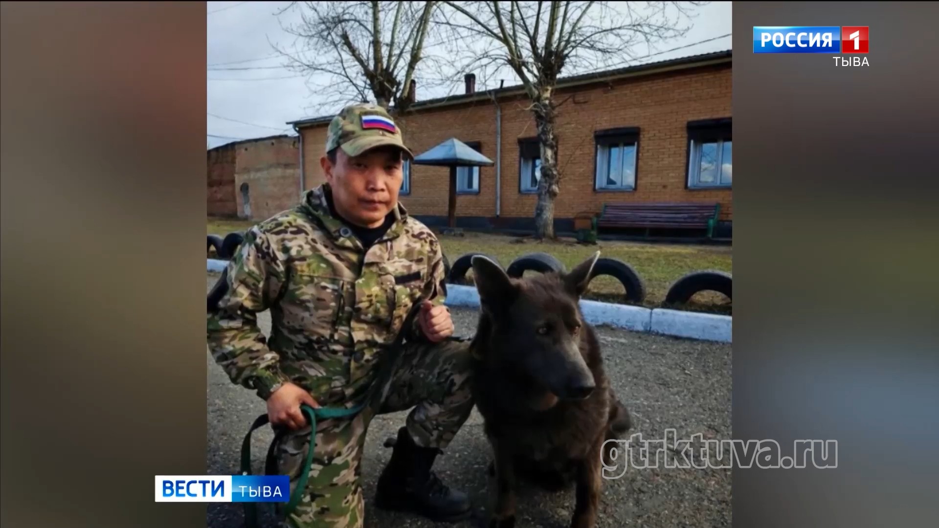 Четвероногие пенсионеры