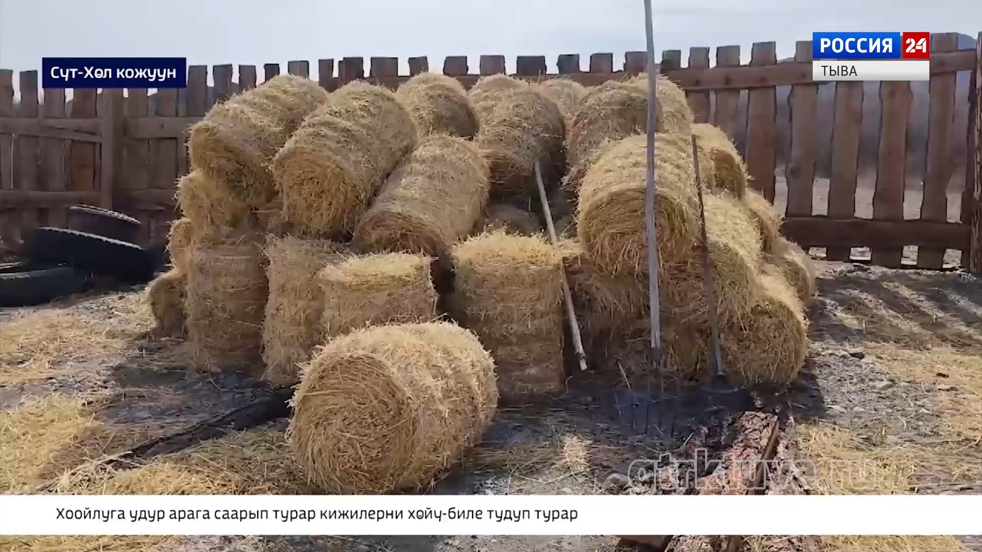 Ажылчын сургакчылаашкын